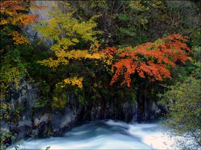 四川米亚罗 千里红叶千里情